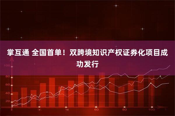 掌互通 全国首单！双跨境知识产权证券化项目成功发行