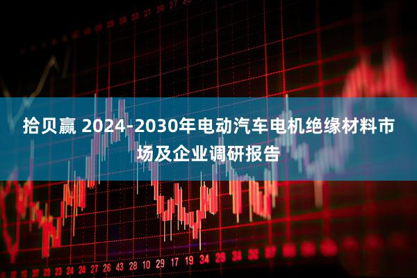 拾贝赢 2024-2030年电动汽车电机绝缘材料市场及企业调研报告